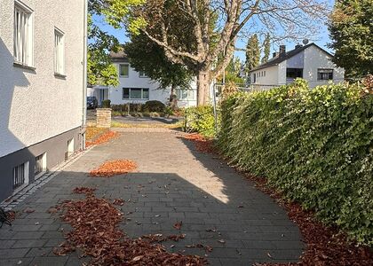 Ansicht des Gehweges vor der Laubbeseitigung