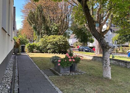 Ansicht der Grünfläche nach der Laubbeseitigung durch Clean and Green Düsseldorf